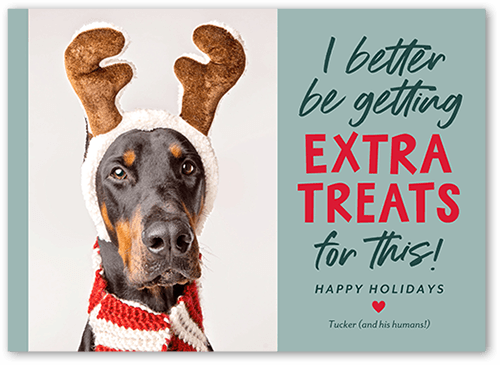 funny dog christmas card