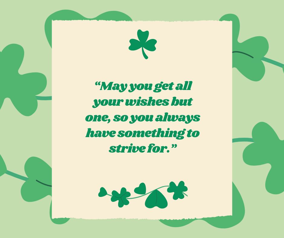 May you get all your wishes but one, so you always have something to strive for.