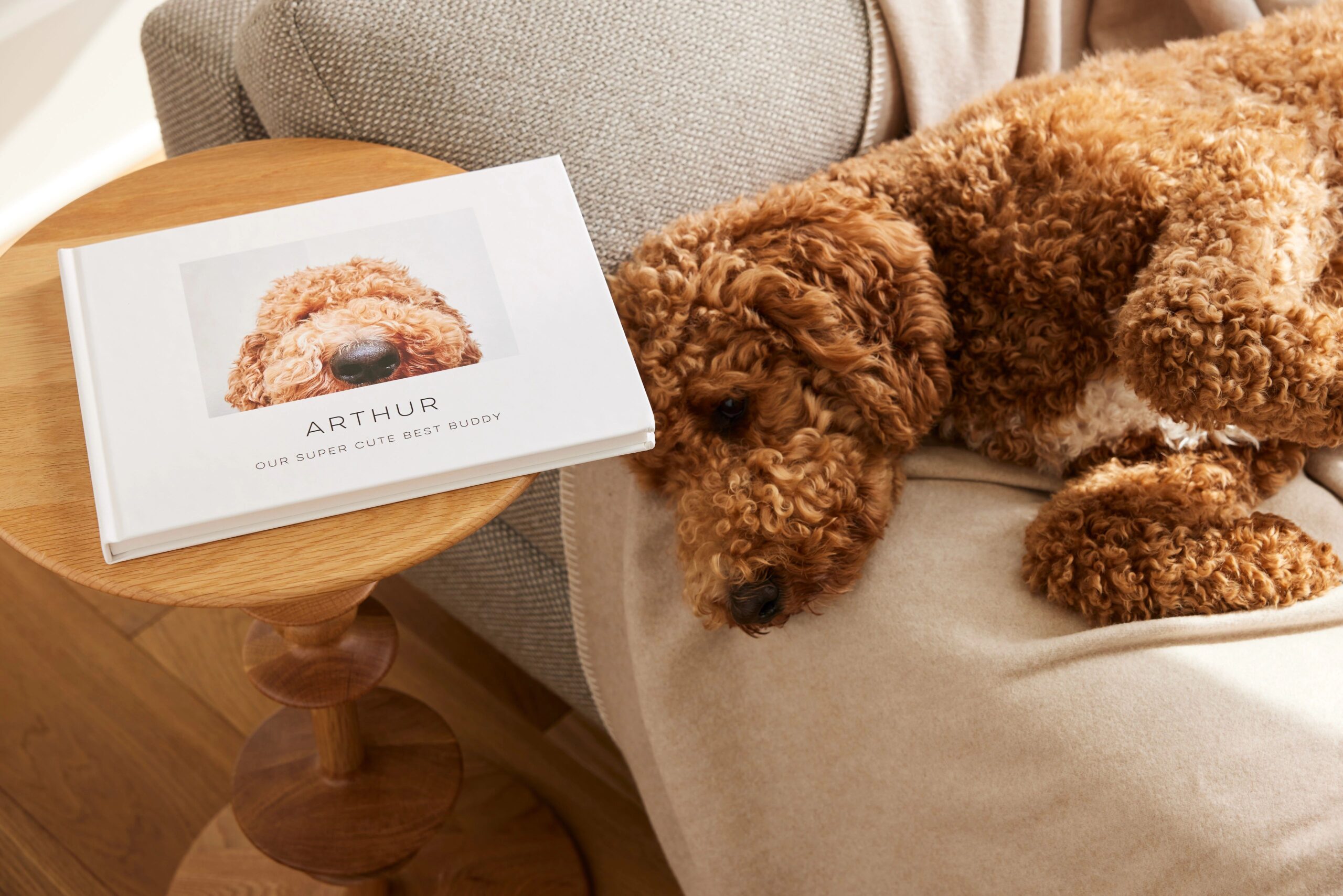 pet photo book with dog 