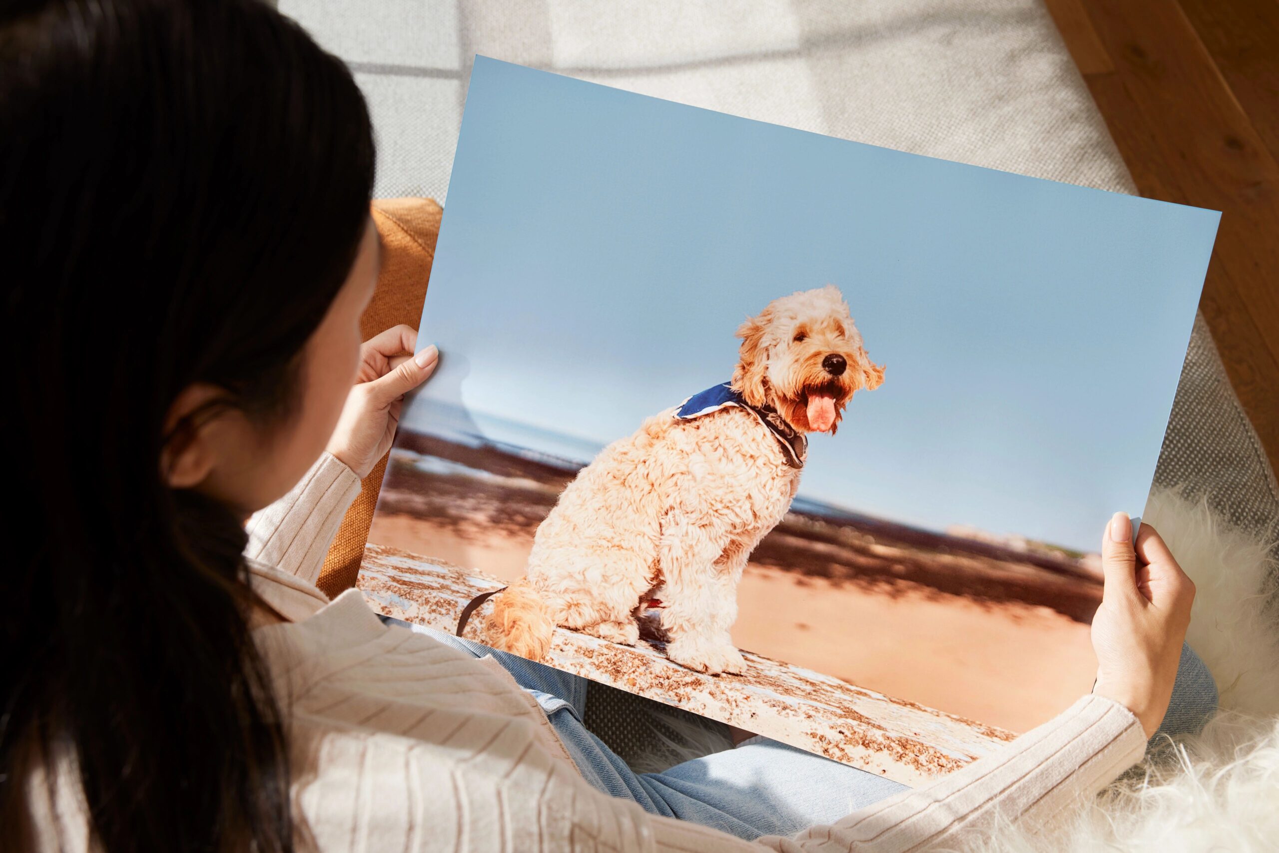 16x20 photo print of a dog