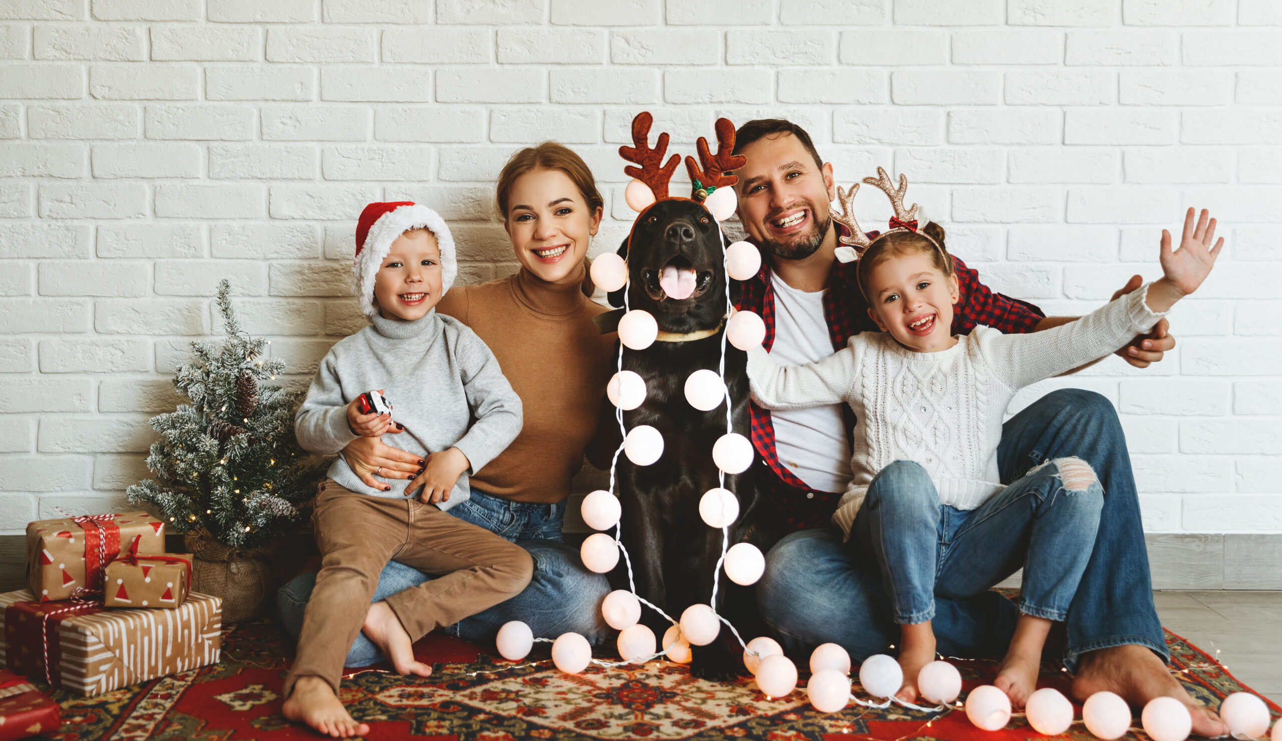 family posing with dog for christmas photos